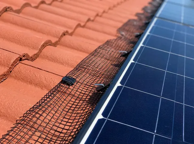 Solar Panel Bird Proofing